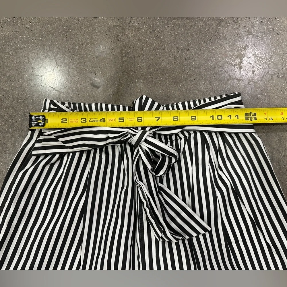 Zara High Waisted Striped Pant - Picture 6 of 9